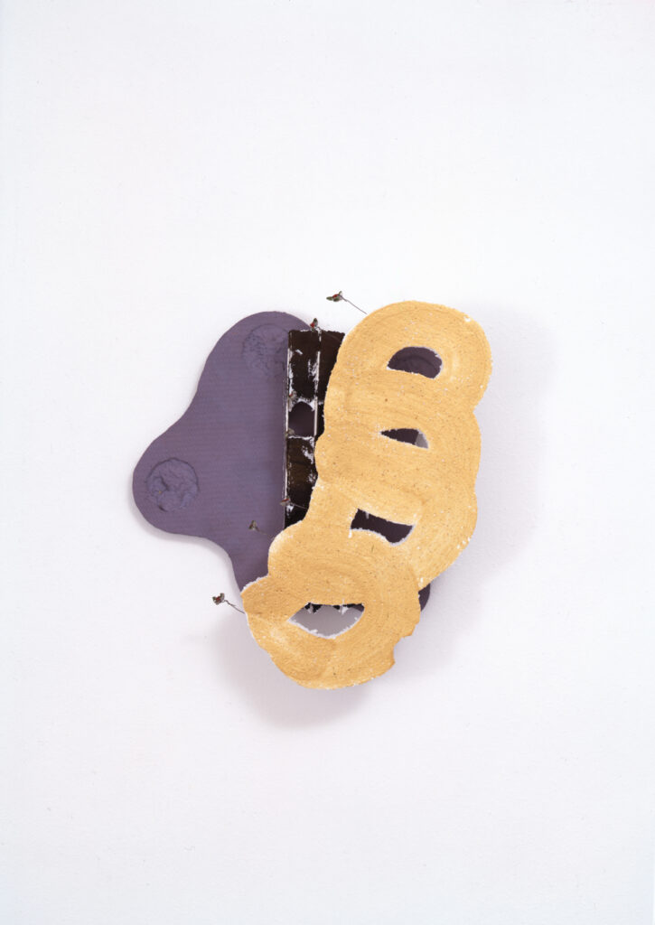 Fondation_Hubert_Looser_Richard_Tuttle_06
