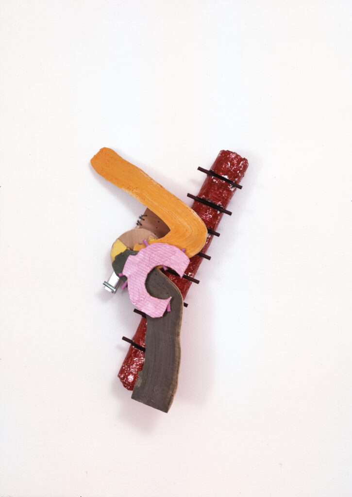 Fondation_Hubert_Looser_Richard_Tuttle_07