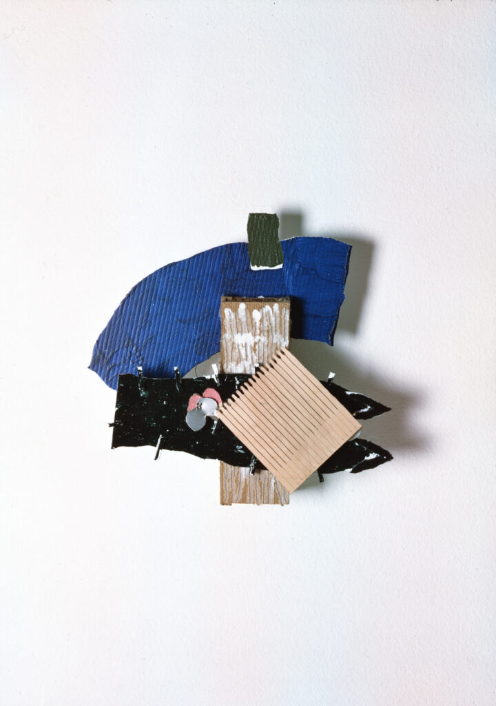 Fondation_Hubert_Looser_Richard_Tuttle_08